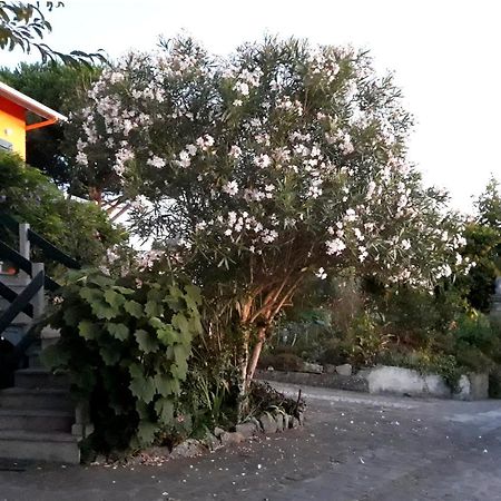 Casa Gwendoline - Albergue / Hostel / Al - Caminho Da Costa Vila Nova de Cerveira Dış mekan fotoğraf